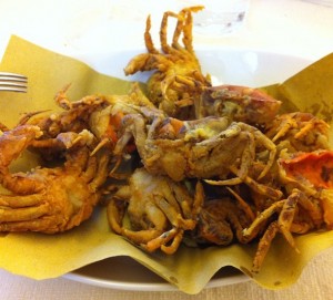 A Venetian speciaity, moeche: fried softshell crabs